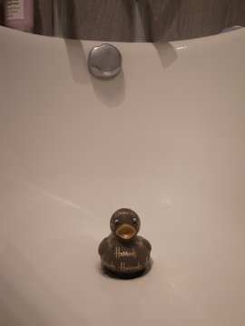 同居人ハロ子-3