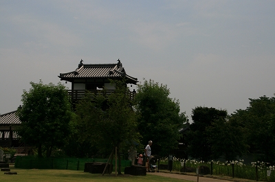 IMG_8646.jpg