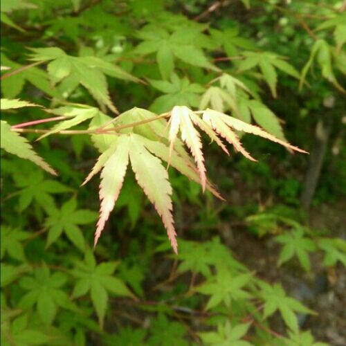 rblog-20160605180602-00.jpg