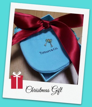 2013ChristmasGift