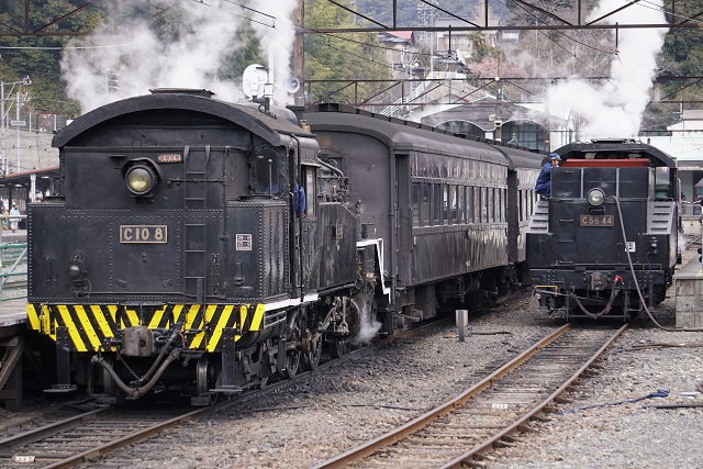 大井川鐵道 元 南海電車 丸普 & C10 8トラ塗り4