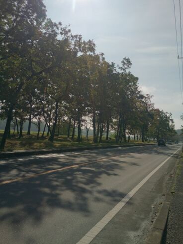 rblog-20141102102624-01.jpg