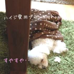 IMG_4969.png