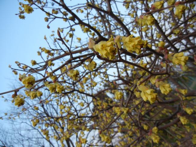 DSCN5168.JPG