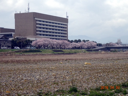 市役所.jpg