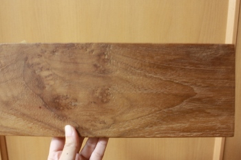 IMG_8068 (350x233).jpg