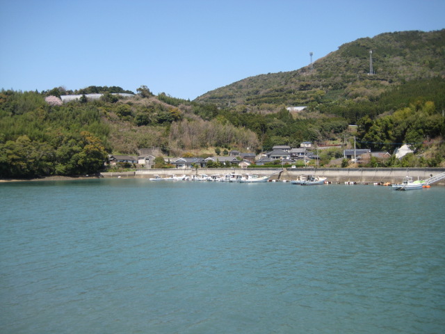 IMG_7958.JPG
