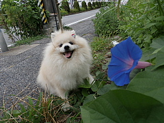 conv0526.JPG