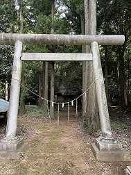 気になる・・・神社 | ★パル水戸スタッフ気まぐれ日記★ - 楽天ブログ