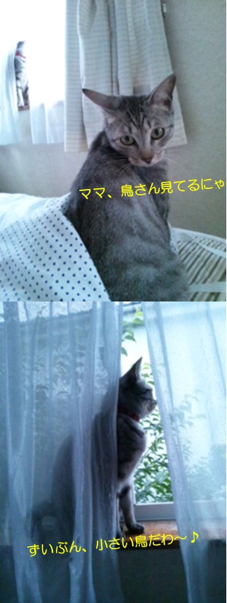 20120721_2.jpg