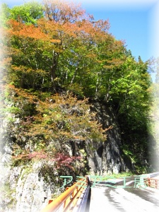秋山郷_10