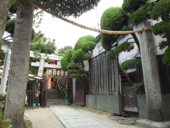 DSCN8163.JPG