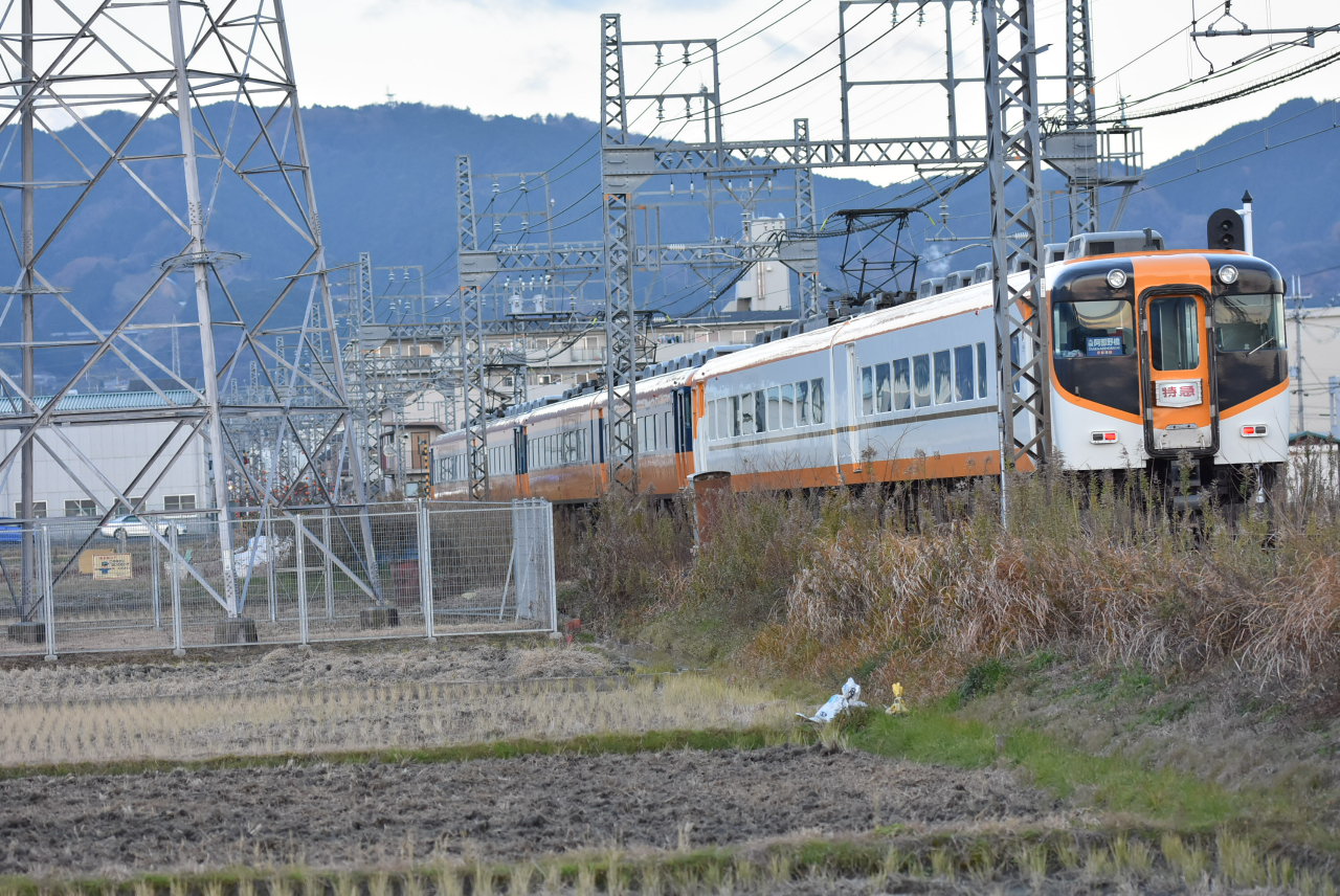 DSC_3001.JPG