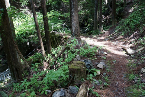 DSC03372.JPG