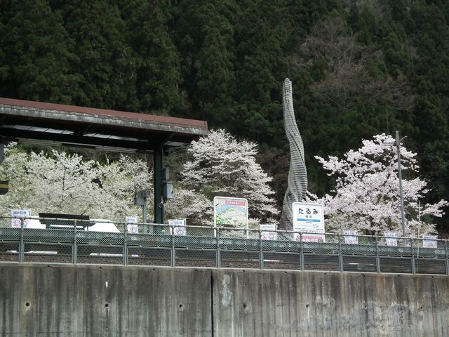 DSCF3755.JPG