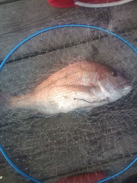 20120811081329.jpg