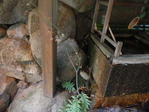 DSCN4353.JPG