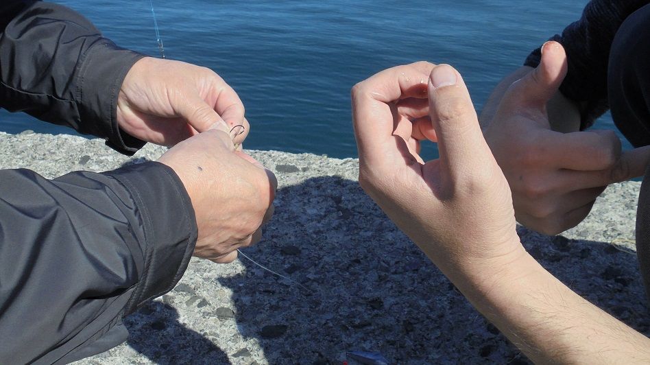 北海道旅先 岩内港防波堤で釣り アブラコ2匹 ヒラメ4枚 Nv350 キャラバンの新車ルートバン3人乗りをベースに車中泊用にベットなどの内装を自作しました Youtube にオートキャンプ場など出かけた先を動画にしてupしてます 楽天ブログ