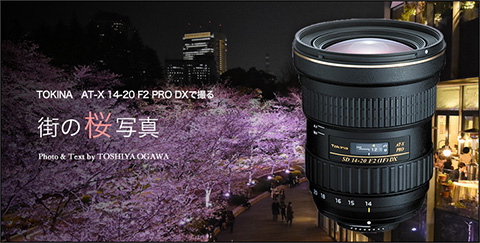 トキナ AT-X 14-20mm 一眼レフ 広角ズームレンズ