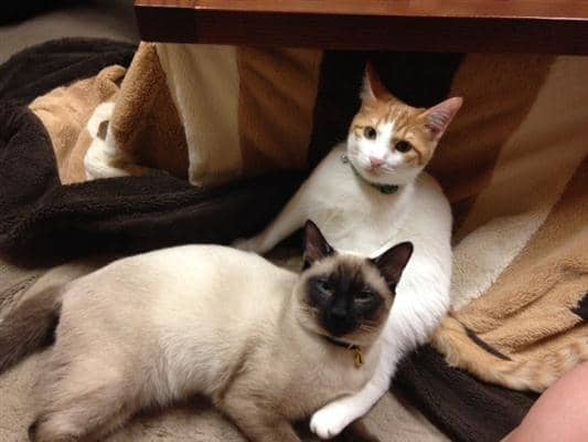 resized___ 3-min.jpg