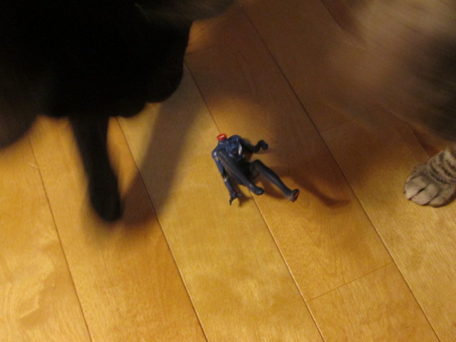 IMG_4646.JPG