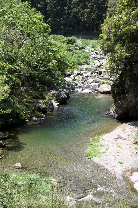 美郷の川田川♪