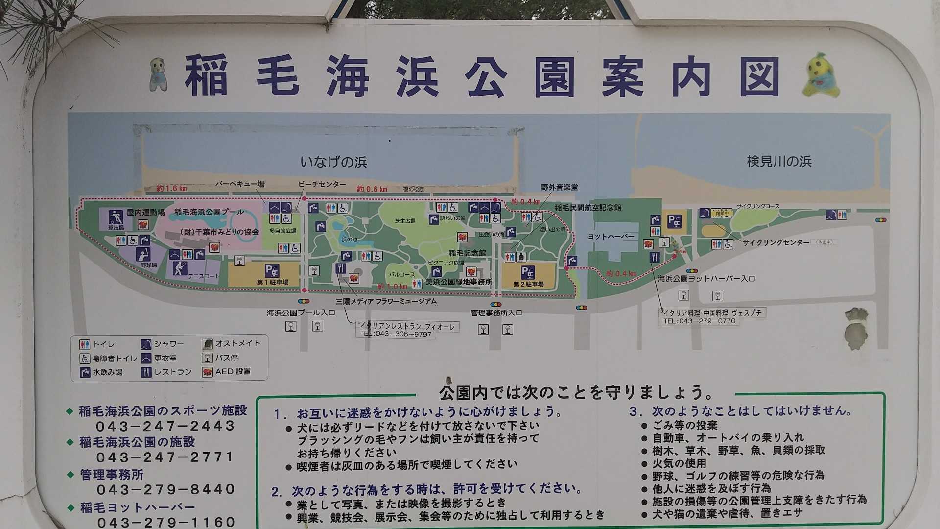 稲毛海浜公園でランニング🎽 | ピサのゆるゆるマラソン日記🍺 - 楽天ブログ
