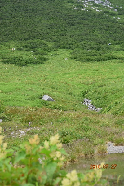 DSC_0101.JPG