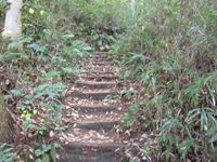 IMG_3891_R.JPG