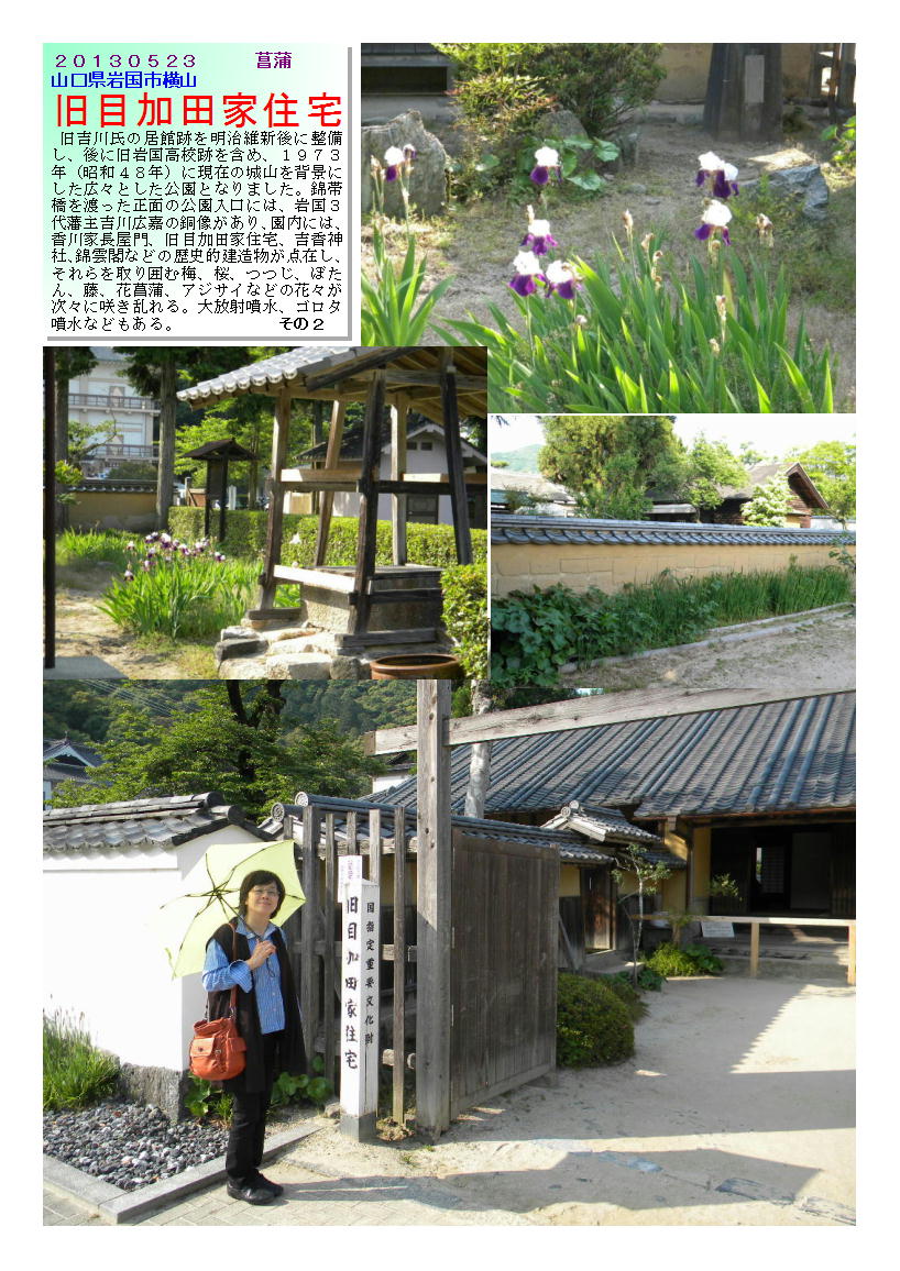 20130523kyuumekatatei2-syoubu.jpg