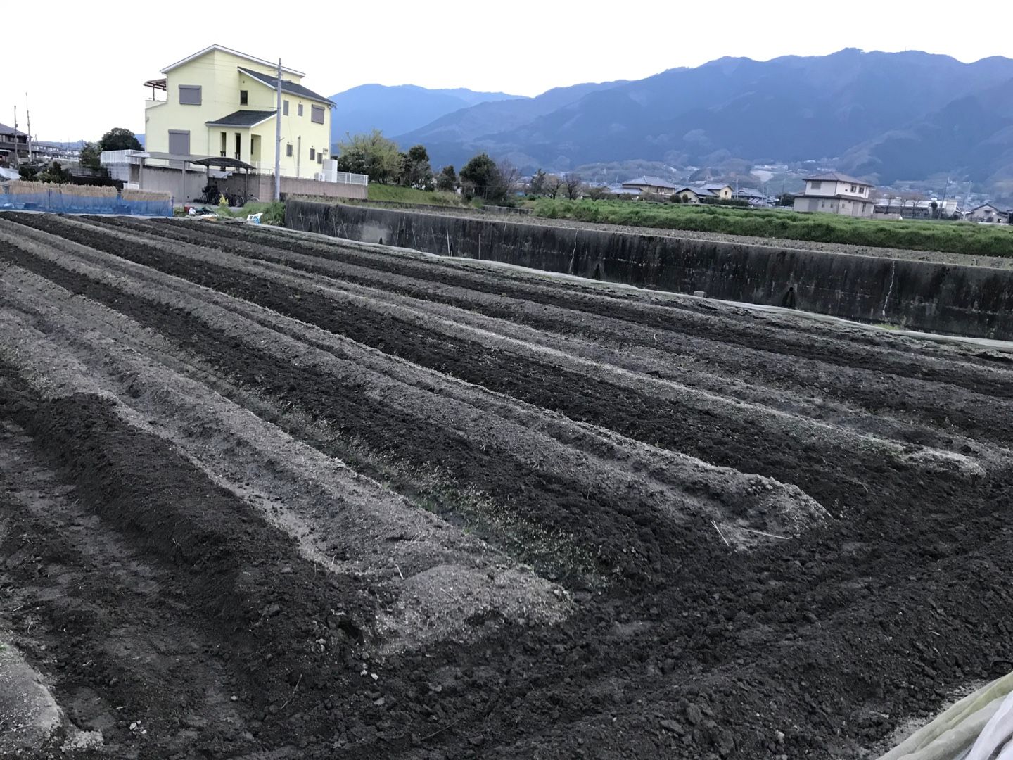 ナス畑の水路掘りと 土あげ 田中農業村 楽天ブログ