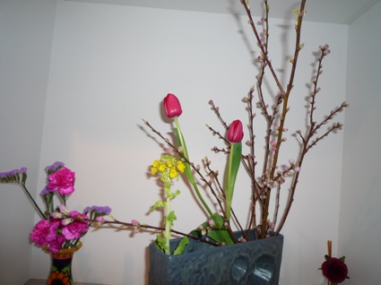 2012.03.02桃の花7.jpg