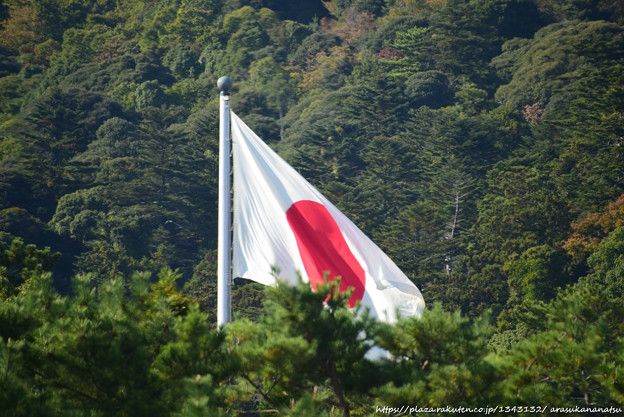 成人恐怖症:大人になることへの制御できない恐怖