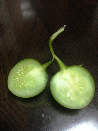ULTRA9_TOMATO