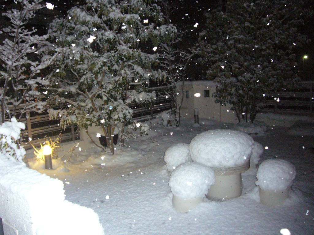 P1170363-.jpg