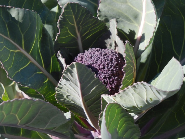 DSCN1953.JPG