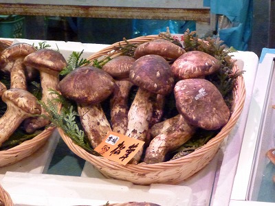 P1080478.jpg