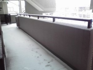 14-02-08_001 (3).jpg