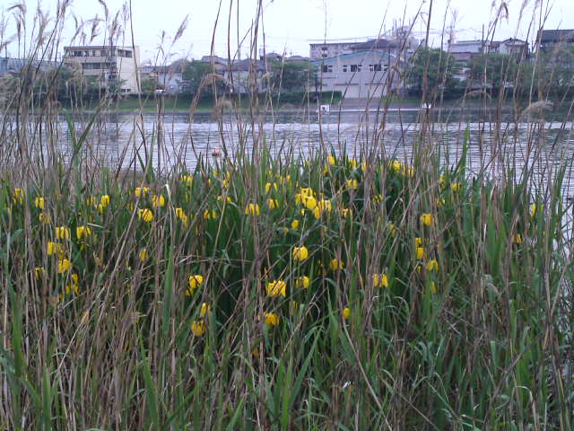 2012-05-09 12:23:51