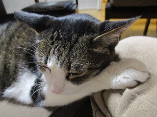IMG_9462ss.jpg