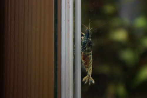 2015052504.JPG