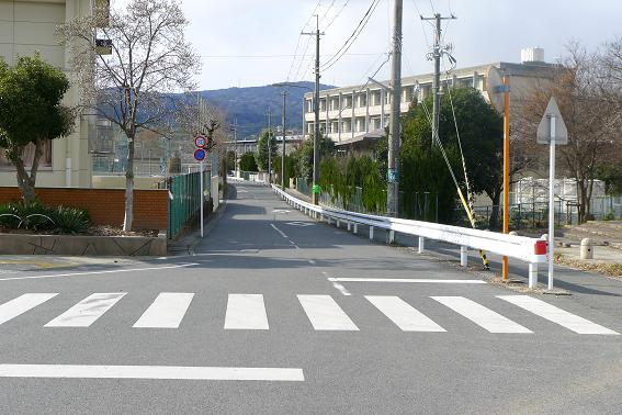 P1010246.JPG