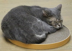 5DA_6092-11.jpg