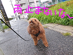 conv0878.JPG