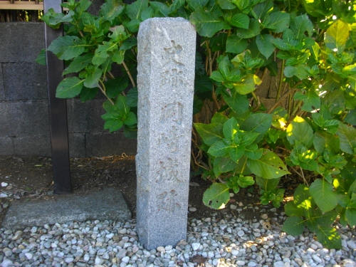 岡崎城 (2) (500x375).jpg