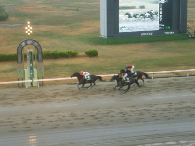 P1040741 (400x300).jpg