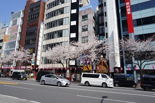 中野通り１.jpg