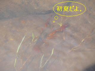画像 340.jpg