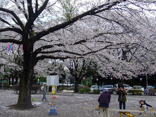 かしの森公園５