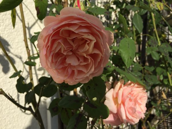 rblog-20151212230547-04.jpg